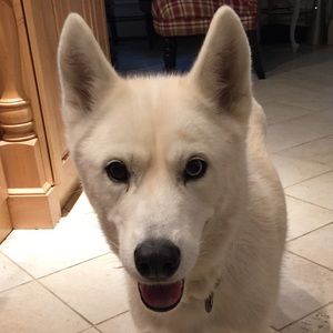 Meet your Posher, Max